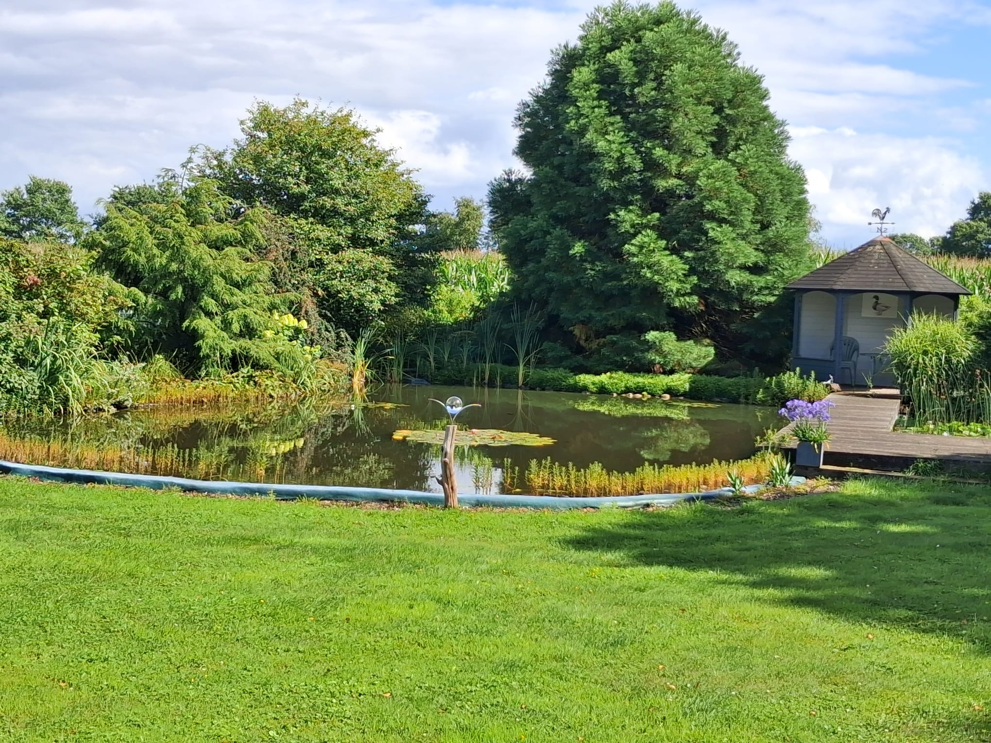 This image for Image Layouts addon