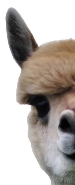 This image for Image Layouts addon